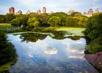 Central Park with lake in foreground and skyline in background