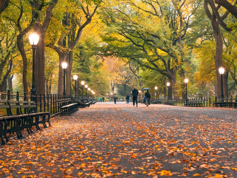 Central Park in Fall
